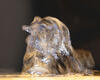 Sample image from gallery